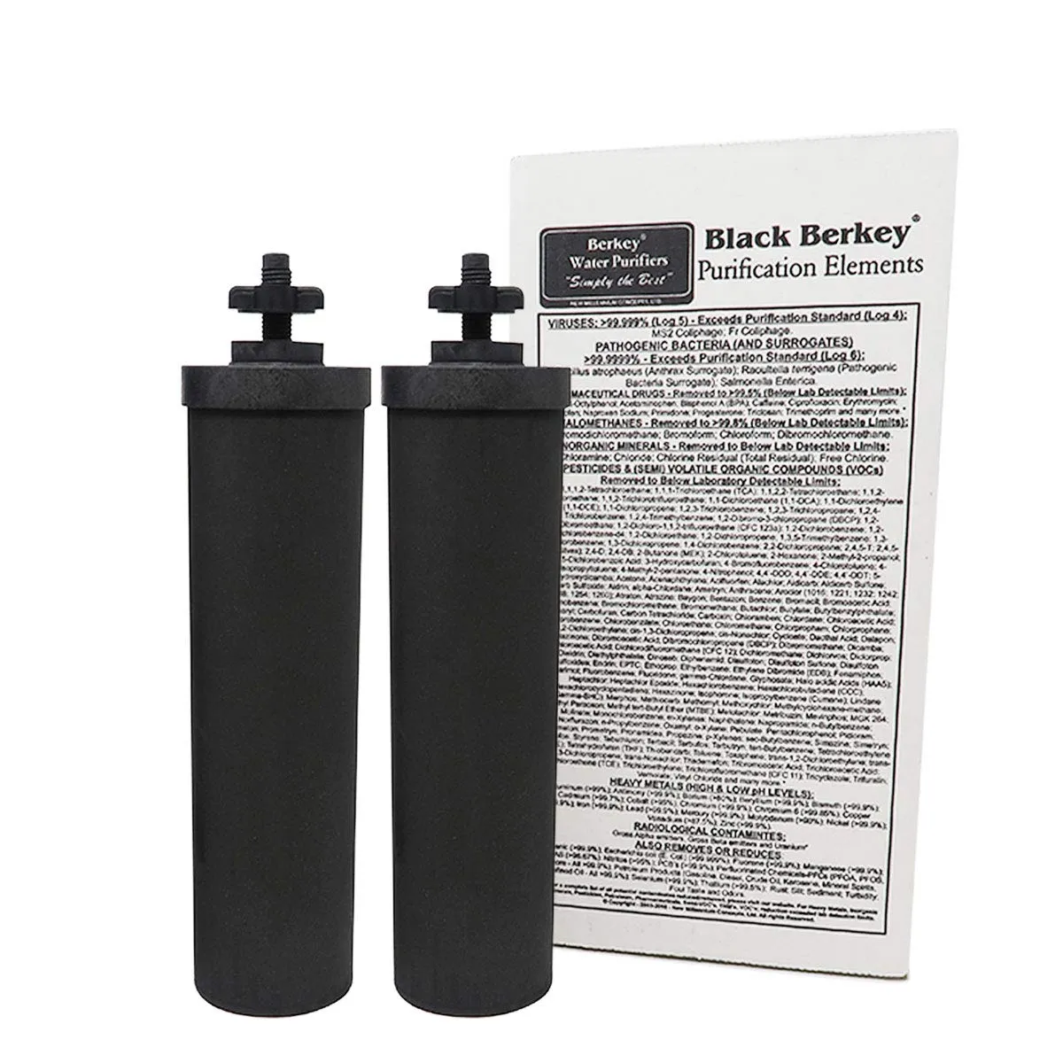 Berkey - Big Berkey BK4X2 Countertop Water Filter System with 2 Black Berkey Elements and 2 Fluoride Filters