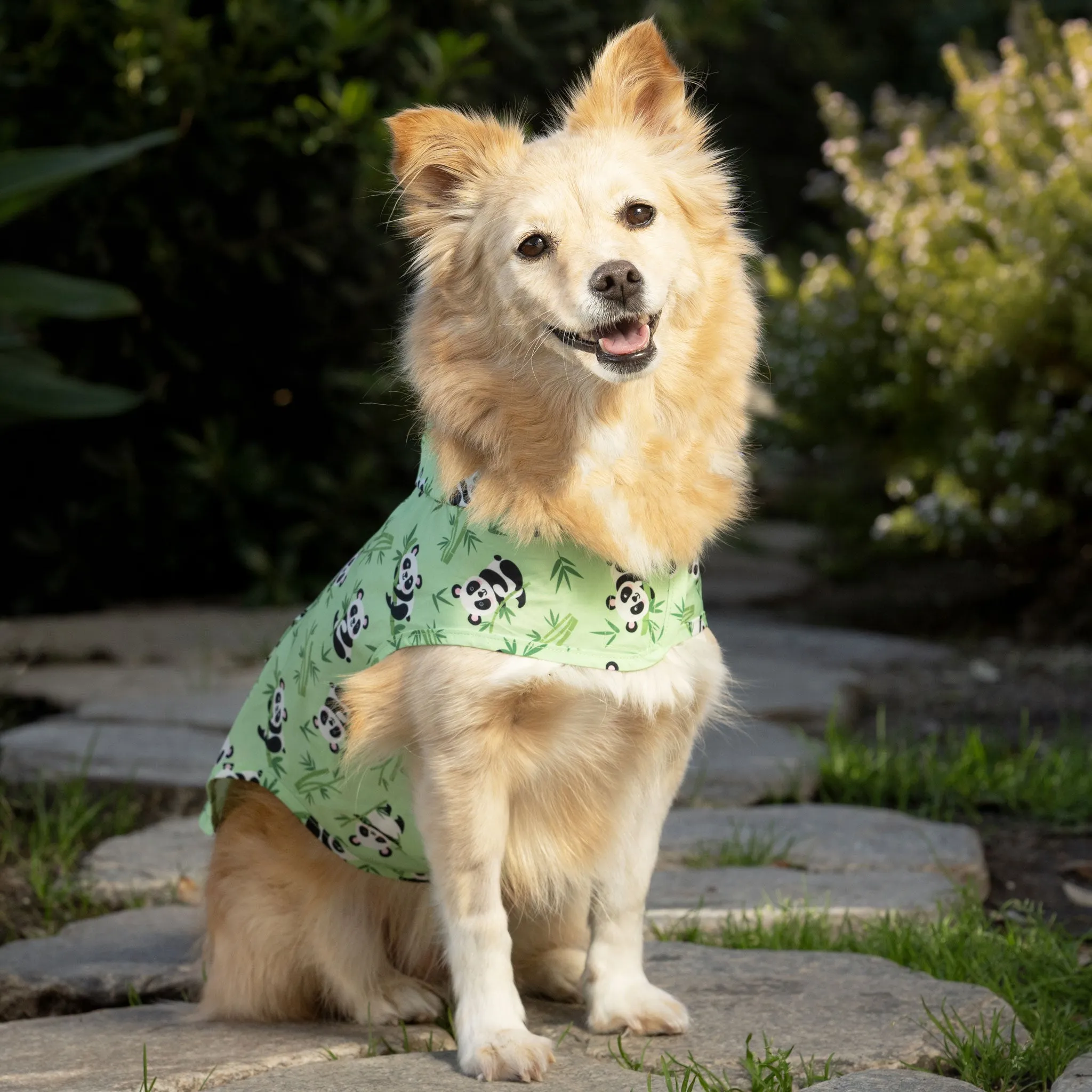 Canada Pooch Pick Me Poncho - Pandas