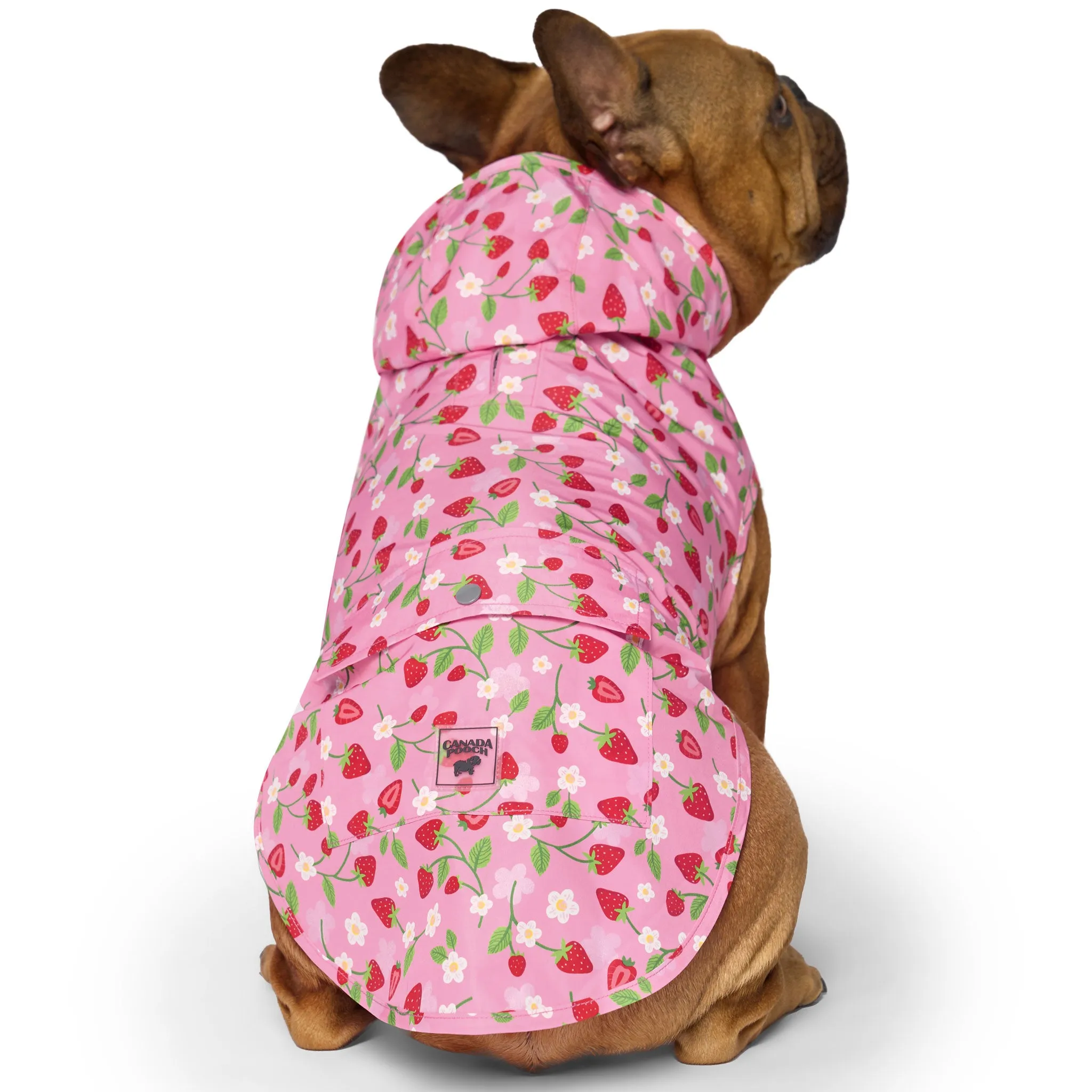 Canada Pooch Pick Me Poncho - Strawberries